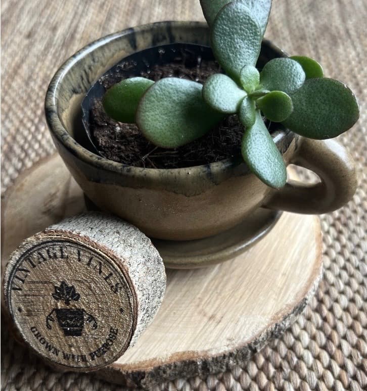 Vintage Vines stamped wood round with a cup planter and jade plant